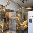 DSCN7233_JPG-1343550469