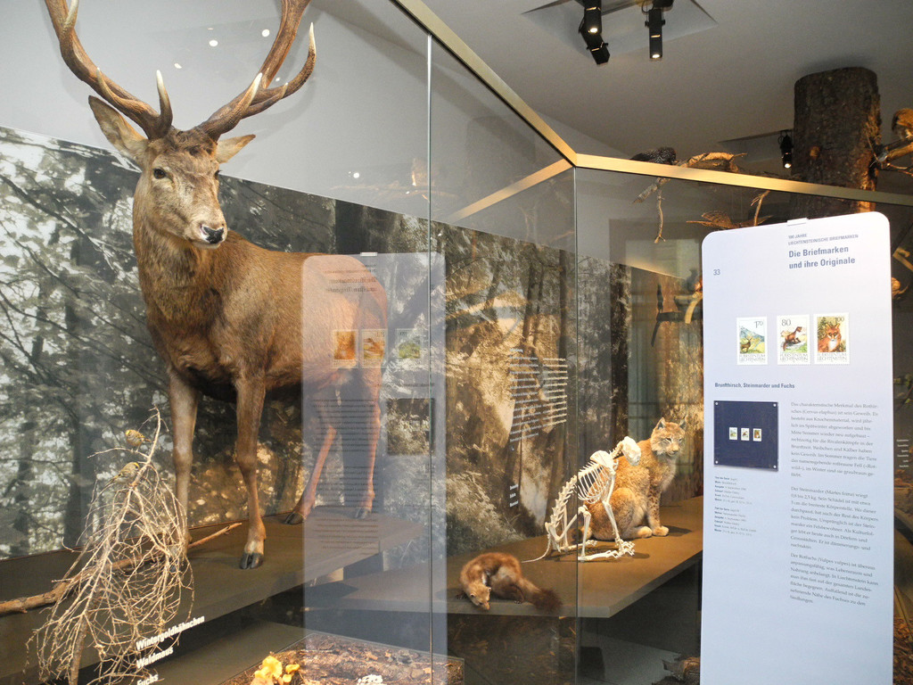 DSCN7233_JPG-1343550469