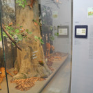 DSCN7234_JPG-1343550484