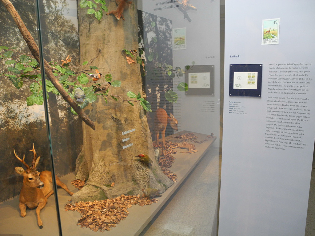 DSCN7234_JPG-1343550484