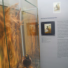 DSCN7235_JPG-1343550499