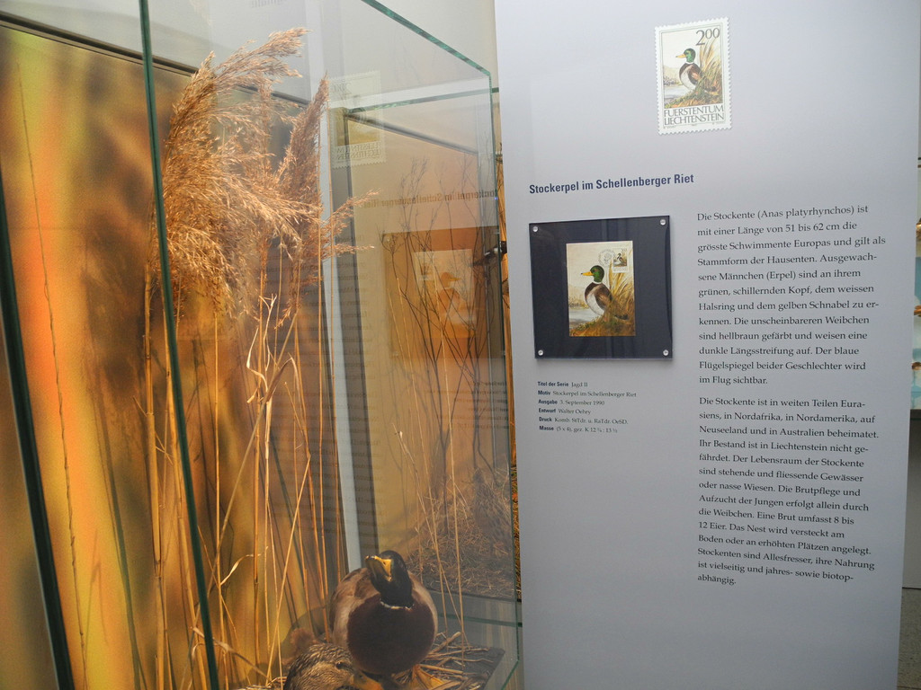 DSCN7235_JPG-1343550499