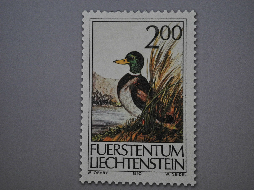 DSCN7236_JPG-1343550516