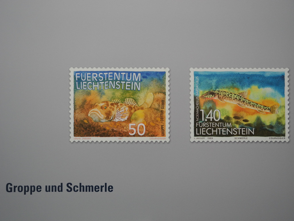 DSCN7237_JPG-1343550544