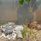 DSCN7238_JPG-1343550569