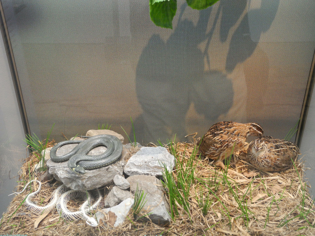 DSCN7238_JPG-1343550569