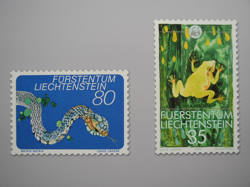 DSCN7239_JPG-1343550596