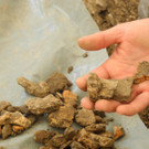 DSCN7144_JPG-1343551577