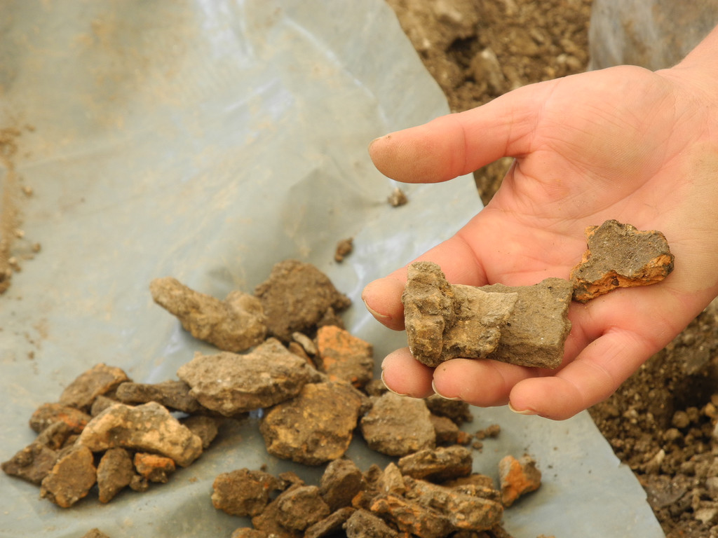 DSCN7144_JPG-1343551577