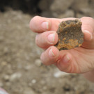 DSCN7146_JPG-1343551605