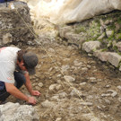 DSCN7157_JPG-1343551869