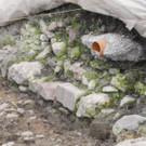 DSCN7158_JPG-1343551896