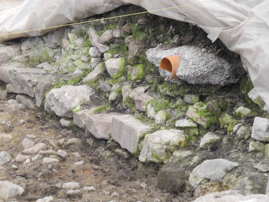 DSCN7158_JPG-1343551896