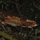 Sequenz 01_18.jpg