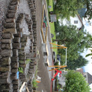 IMG_2869.JPG