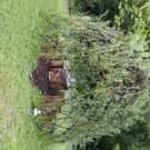 IMG_2895.JPG