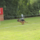 IMG_7682_JPG-1343582171.jpg