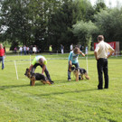 IMG_7736_JPG-1343582258.jpg