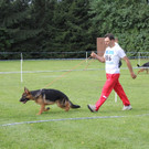 IMG_7824_JPG-1343582334.jpg