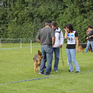 IMG_7899_JPG-1343582425.jpg