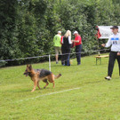 IMG_8326_JPG-1343582747.jpg