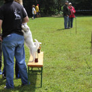 IMG_8344_JPG-1343582768.jpg