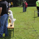 IMG_8345_JPG-1343582775.jpg