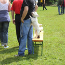 IMG_8348_JPG-1343582782.jpg