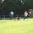 IMG_8411_JPG-1343582844.jpg