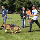 IMG_8474_JPG-1343582895.jpg