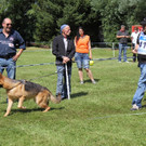IMG_8475_JPG-1343582903.jpg