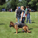 IMG_8488_JPG-1343582945.jpg