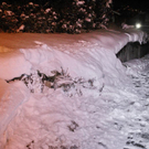 normal_30012010vuduernbergffaktivnews_05.jpg