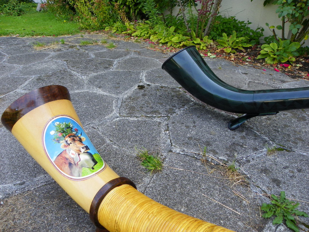 104_4137_jpg-1343594022