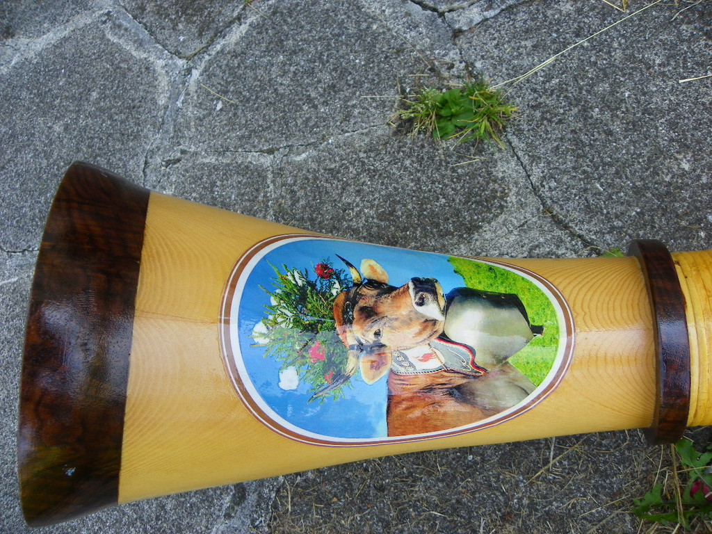 104_4139_jpg-1343594028