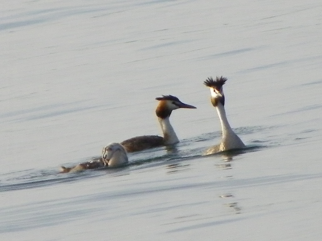 115_4664_JPG-1343596658