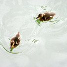 115_3342_JPG-1343596597