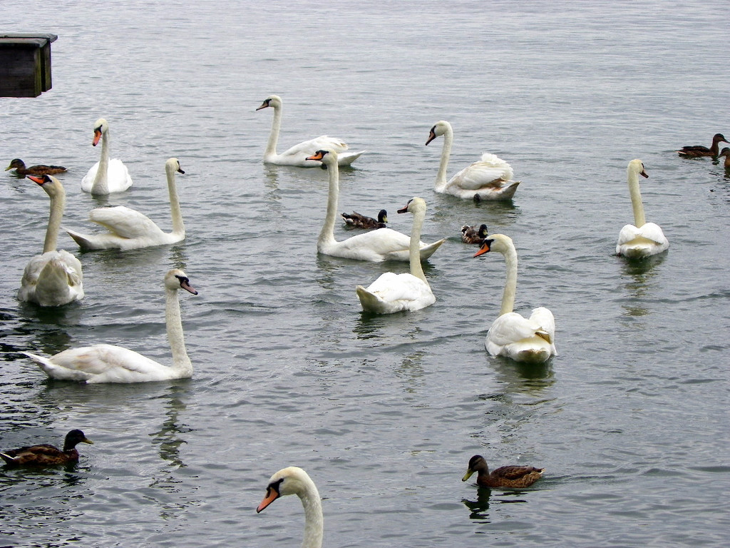 115_3340_JPG-1343596591