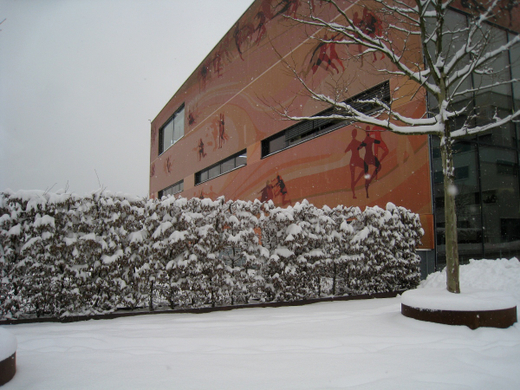 Winter Impressionen Lochau _18_.jpg