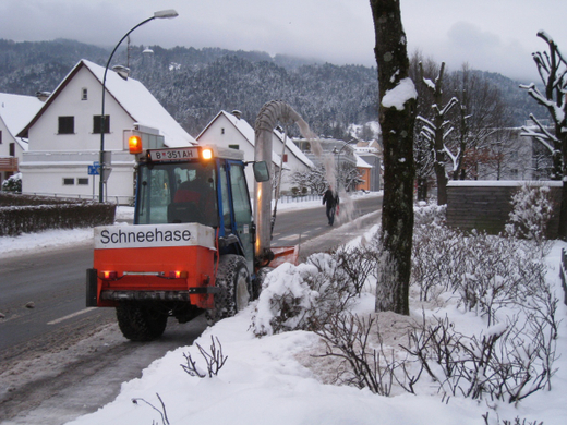 Wi-hof Winterdienst 2010 _5_.jpg