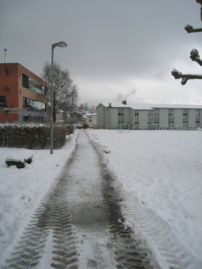 Wi-hof Winterdienst 2010 _6_.jpg