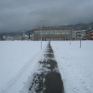 Wi-hof Winterdienst 2010 _13_.jpg