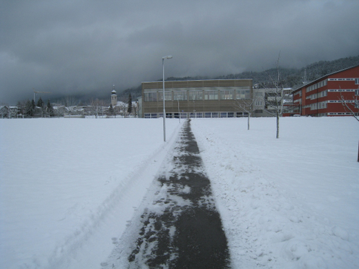 Wi-hof Winterdienst 2010 _13_.jpg
