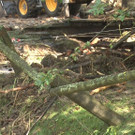 Sequenz 01_18_Kopie.jpg