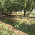 Sequenz 01_19_Kopie.jpg