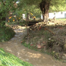 Sequenz 01_20_Kopie.jpg