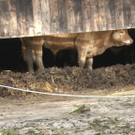 Sequenz 01_23_Kopie.jpg