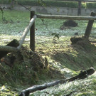 Sequenz 01_25_Kopie.jpg