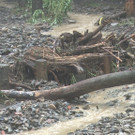 Sequenz 01_30_Kopie.jpg