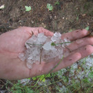 Sequenz 01_32_Kopie.jpg